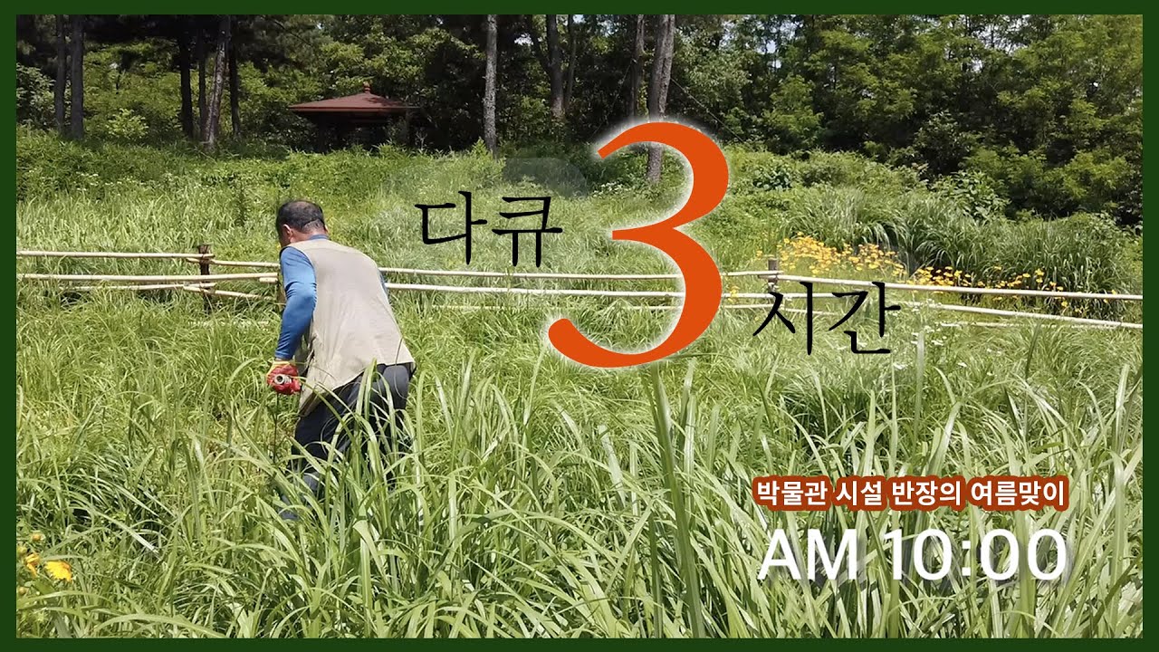 38. 박물관 시설 반장의 여름맞이