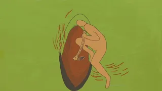 21. 씨앗이 나무가 되어