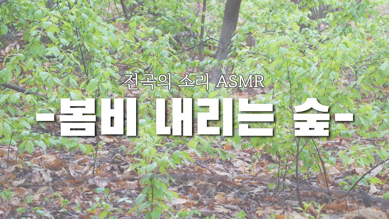 14. 전곡의 소리 - 봄비 내리는 숲